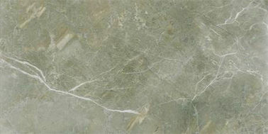 Antibacterial Modern Porcelain Tile With Polished Or Matte Surface