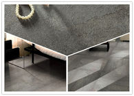 Grey Porcelain Floor Tiles 600x600 Acid Resistant Different Patterned