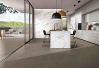60*120cm Eramic Tile Supplier Non Slip Living-Room Porcelain Tile Kitchen Cement Concrete Look Floor Tile Cement Tile