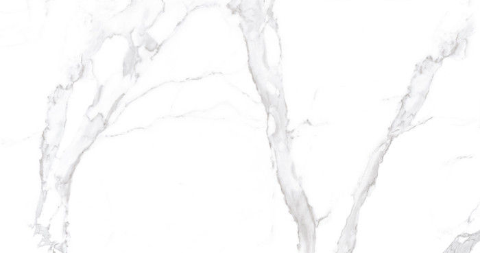 Carrara Outdoor Patterned Porcelain Tiles Low Absorption Rate Super White Color